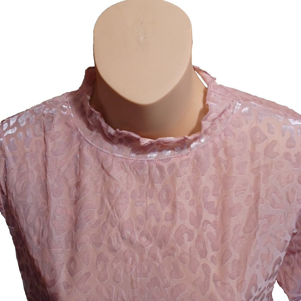 Kori Feminine Mash Mock Blush Small Sheer Soft Balletcore Feminine Fairy Blouse
